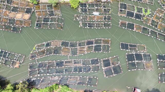 Aerial view of fish ponds on the riverbank, water flowing from the Riam Kanan reservoir