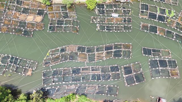 Aerial view of fish ponds on the riverbank, water flowing from the Riam Kanan reservoir