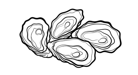 Fresh Raw Oysters Illustration Black and White Line Art © kiki__