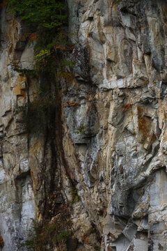Close-up of Geological Rock Texture with Fall Foliage in Nikko National Park