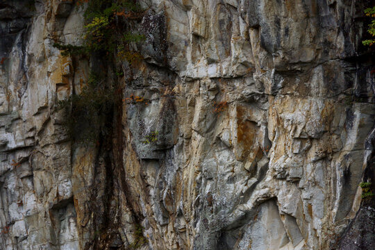 Close-up of Geological Rock Texture with Fall Foliage in Nikko National Park