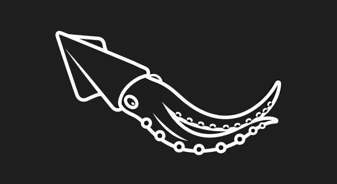 White squid cephalopod outline on dark background.