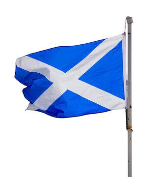 flag of scotland on transparent background