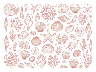 Intricate collection of hand-drawn seashells, starfish, and coral in a delicate line art style. © MR.HAY
