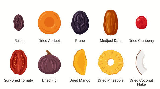 Set of Various Dried Fruits and Vegetables Vector Illustrations.