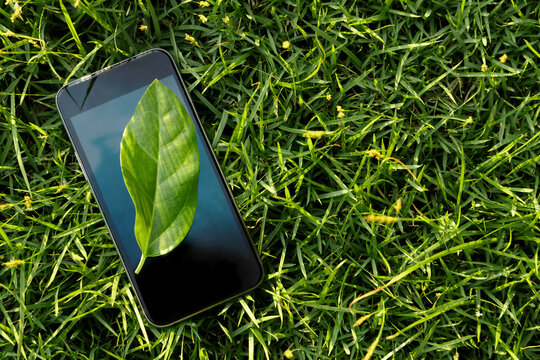 Smartphone on grass with a leaf .digital wellbeing, reconnecting with nature, clean technology, mindfulness