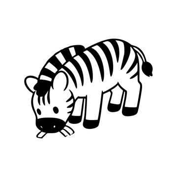 funny cartoon zebra eat grass