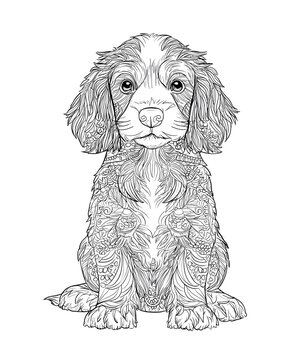 A Cute Baby Cocker Spaniel Mandala Animal Coloring Page Vector