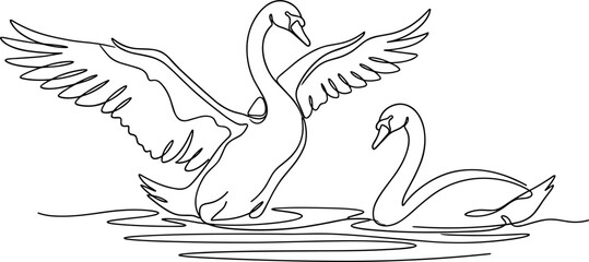 Continuous one line drawing of two elegant swans on water. © zoro0