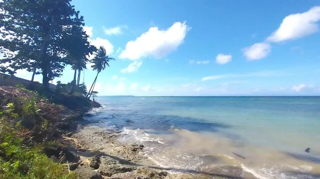 Tropical Coconut Palm Beach on Biak Island, Papua, Indonesia with Crystal Clear Ocean