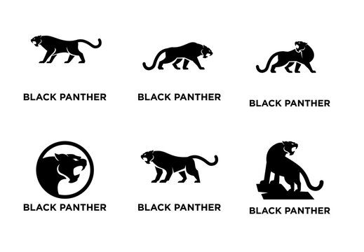 Collection of Black Panther Logo Designs and Silhouettes. Dynamic Roaring and Stalking Big Cat Vector Icons, ideal for powerful branding and animal themes.