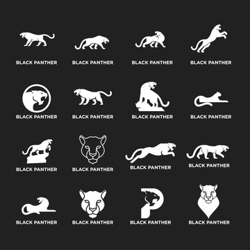 Black Panther Logo Collection, Vector Illustration Set of Big Cat Mascots in Various Poses for Branding and Sports Teams