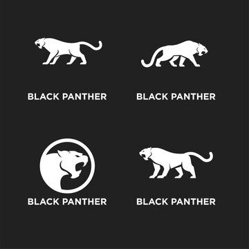 Black Panther Logo Designs Set. Fierce big cat animal symbol collection for branding, sports, or mascot identity. White panthers on dark background.