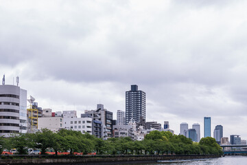 Fototapeta premium 川沿いに広がる近代的な高層ビル群と街並みの都市景観