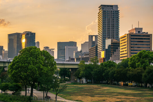 夕暮れの美しい光に包まれた都会の公園と高層ビル群の景色