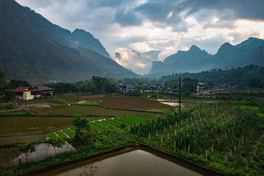 A serene landscape featuring lush rice fields and distant mountains under a dramatic sky, captured during the early morning hours  - horizontal