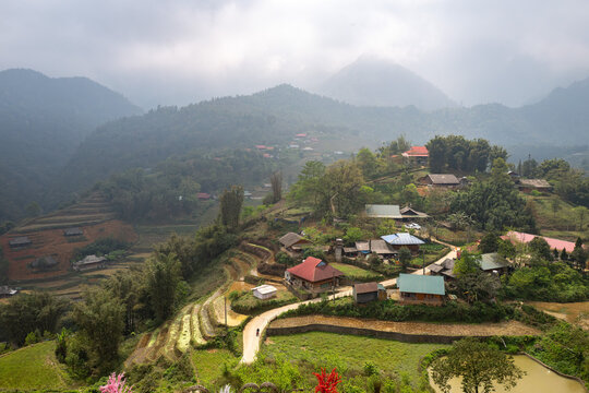 Scenic View of A serene landscape featuring lush rice fields and distant mountains under a dramatic sky, captured during the early morning hours  - horizontal
