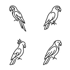 Fototapeta premium Four Different Parrot Line Drawings Shown.
