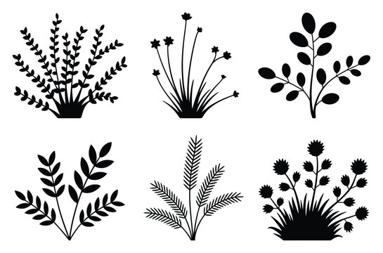 Conjunto de siluetas negras de diversas plantas silvestres y arbustos