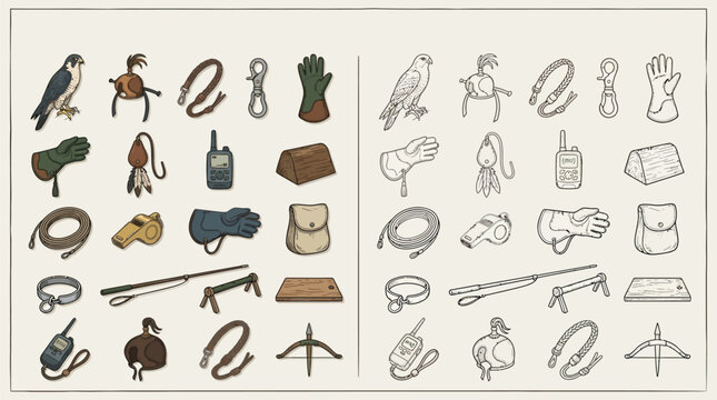 Collection of falconry equipment and accessories, presented in both color and outline versions.
