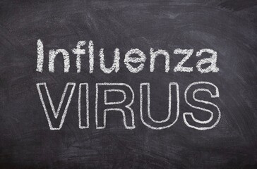 Fototapeta premium Dangerous influenza virus Concept, Hand-Drawn Chalk Illustration on Blackboard, Minimal Digital Chalkboard Sketch, Medical Microbiology Concept Visualization