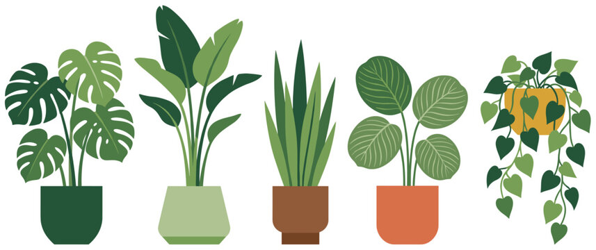 Set of five different house indoor plants in pots vector illustration.