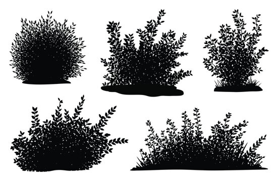 Colecci&oacute;n de siluetas negras detalladas de diversos arbustos y matorrales de jard&iacute;n