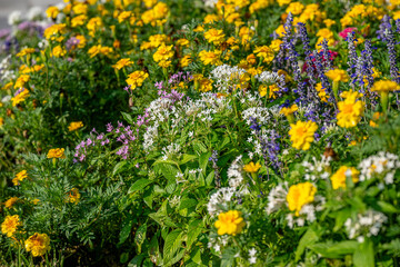 Obraz premium residential landscaping