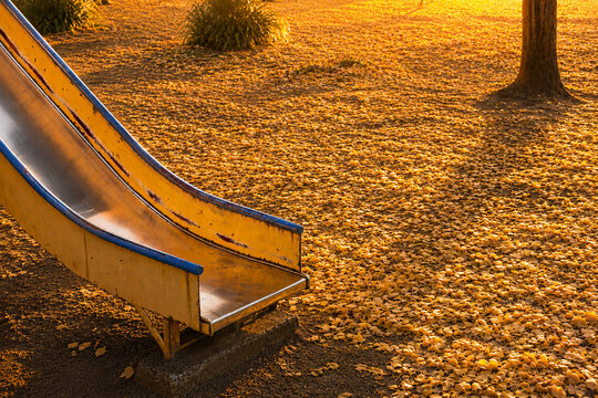Playground slide in a Japanese park covered with yellow ginkgo leaves during autumn morning