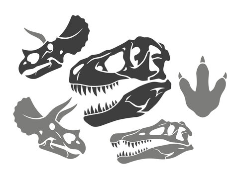 Collection of silhouetted dinosaur skull fossils and claw print