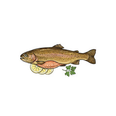 A Complete Smoked Trout With Realistic Scales And Texture Resting On Thin Lemon Rounds And Accented With Parsley For A Culinary Presentation Vector Illustration © makyas