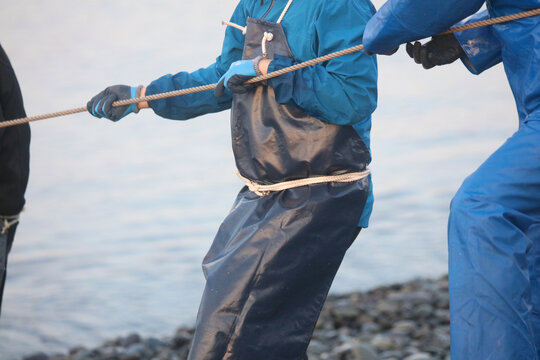 	海岸から網を引く漁師