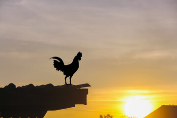 Silhouette rooster standing on roof house on morning sky background © Amphawan