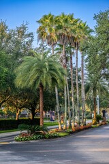 Fototapeta premium landscaping