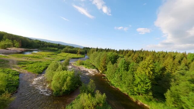Cinematic aerial footage captures a winding river flowing through a vibrant green forest under a clear blue sky, showcasing natural beauty.
