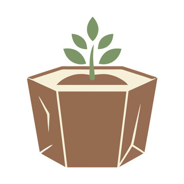 Plant growing in a pot
