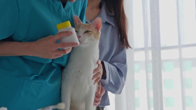 Veterinarian consulting medicine
 that using with cat