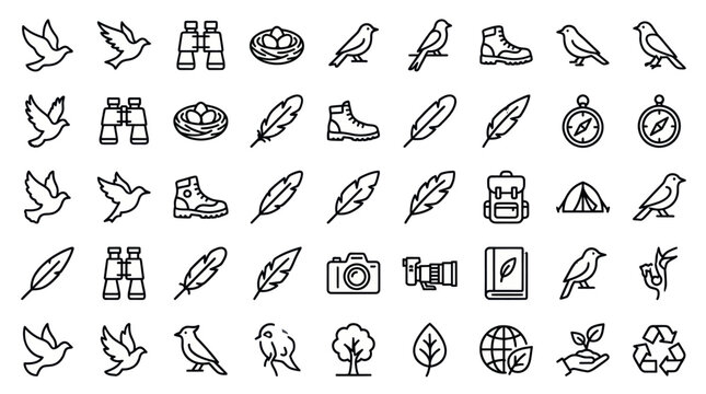 Bird watching and nature exploration icon set.