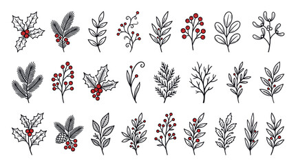 Minimalist Christmas greenery and berry sprig vector illustrations. © Ambon