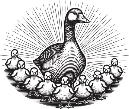 Engraved illustration of mother goose with her goslings in radia