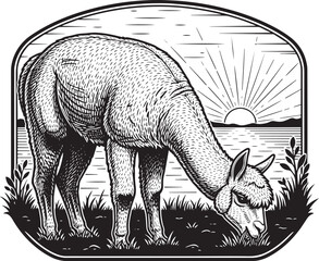 Fototapeta premium Engraved Style Illustration of an Alpaca Grazing at Sunset in a