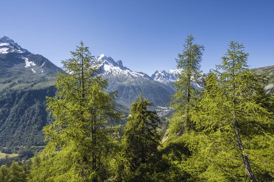 Mountain panorama from Aiguillette des Posettes, summits Aiguille Verte, Aiguille du Midi and Mont Blanc, Chamonix, Haute-Savoie, France