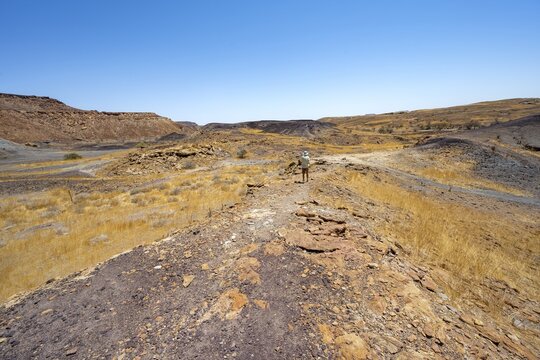 Tourist in dry landscape with yellow grass and black volcanic hills, Burnt Mountain, Damaraland, Kunene, Namibia