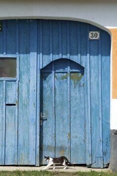 Blue door with cat, Zaluzi, South Bohemia, Czech Republic