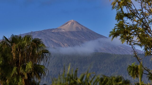 View of the Teide volcano with passing clouds and lush greenery in the foreground, Teide National Park, Teide National Park, volcano, volcanism, UNESCO World Heritage Site, Tenerife, Canary Islands, Spain