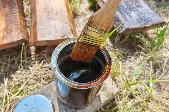 Paintbrush dipping into wood stain before coating natural timber. Outdoor woodworking, DIY home improvement, wood preservation and maintenance concept.
