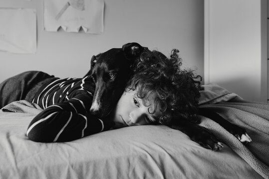 Young boy snuggling together with his pet greyhound dog on his bed at home