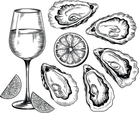 Vintage Oyster and Wine Collection, Hand Drawn Seafood Vector Illustration with Citrus Engraving Style Design