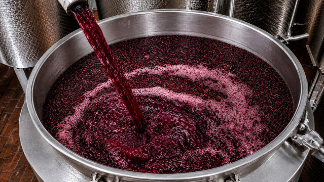Red wine must pouring into a large stainless steel fermentation tank. Industrial winemaking process in a winery