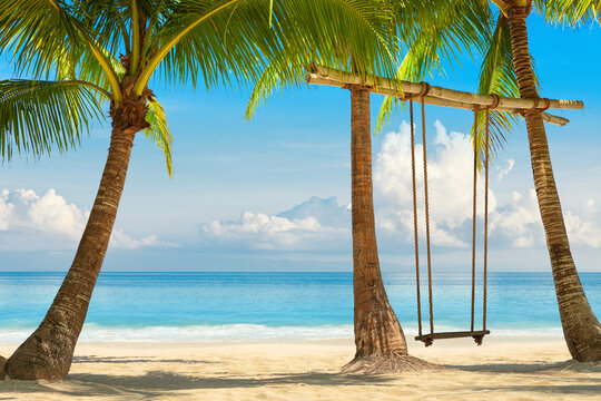 sea ​​coast with sandy beach, rope swing on coconut palm. concept of beach holiday at resort